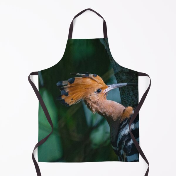 Item preview, Rare Hoopoe II @ Taiping Lake Gardens, Malaysia designed and sold by David ST Loh Images.