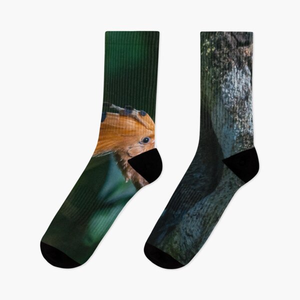 Item preview, Rare Hoopoe II @ Taiping Lake Gardens, Malaysia designed and sold by David ST Loh Images.