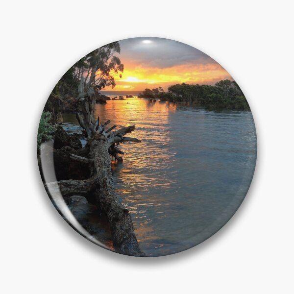 Pin Button