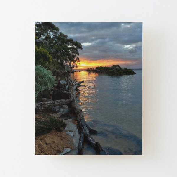 Wood Mounted Print
