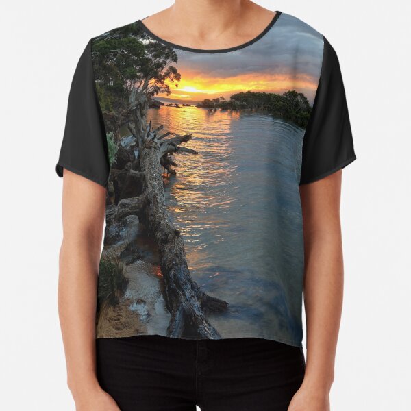 Chiffon Top