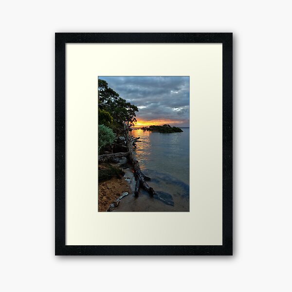 Framed Print