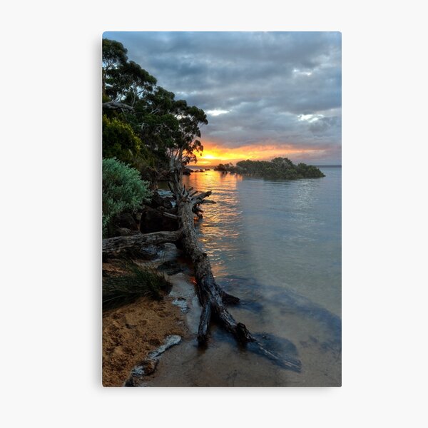 Metal Print