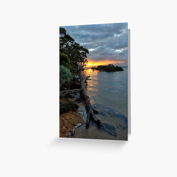 Greeting Card