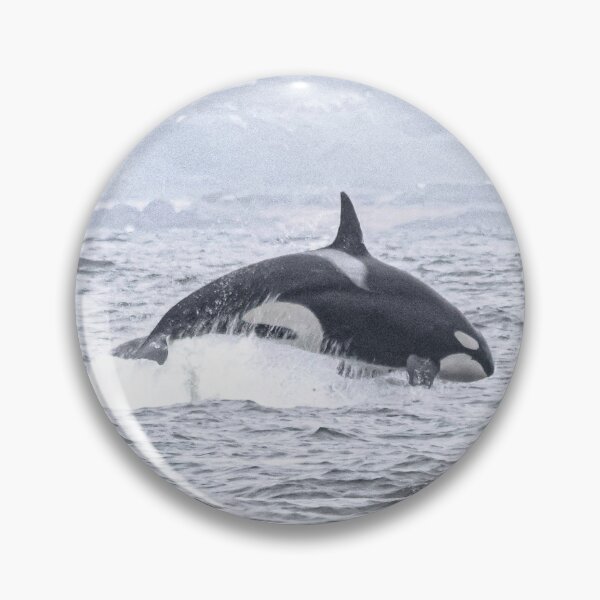 Item preview, California Killer Whale, CA40 designed and sold by Selena Rivera.