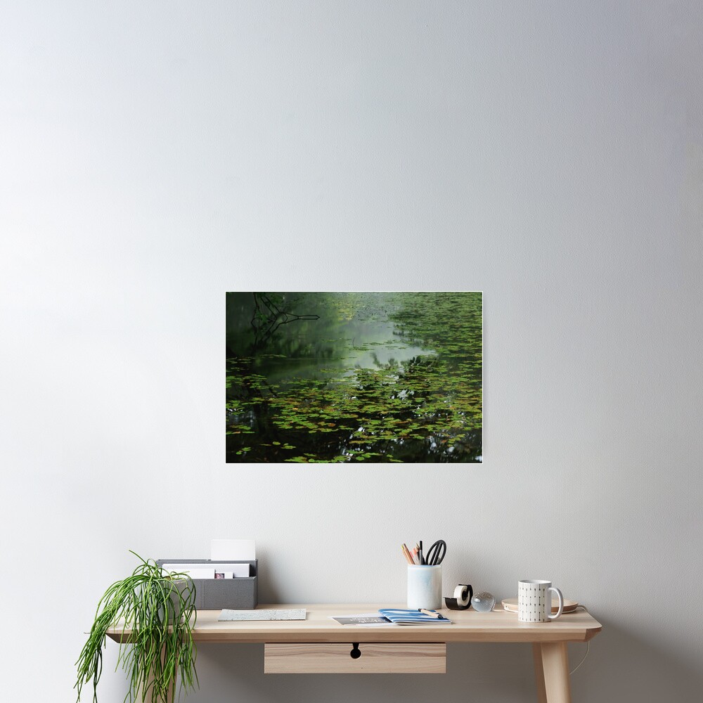 Item preview, Poster designed and sold by adamayokuy.