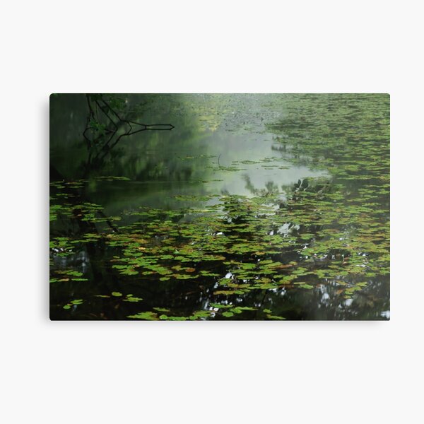 Moonlight Blues - 静かな池のブルース Metal Print