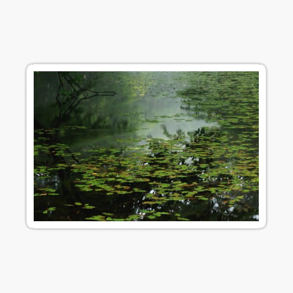 Moonlight Blues - 静かな池のブルース Sticker