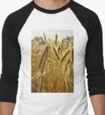 Ripening Wheat Men's Baseball ¾ T-Shirt