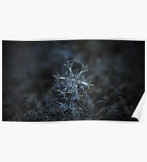 Starlight, panoramic version Poster