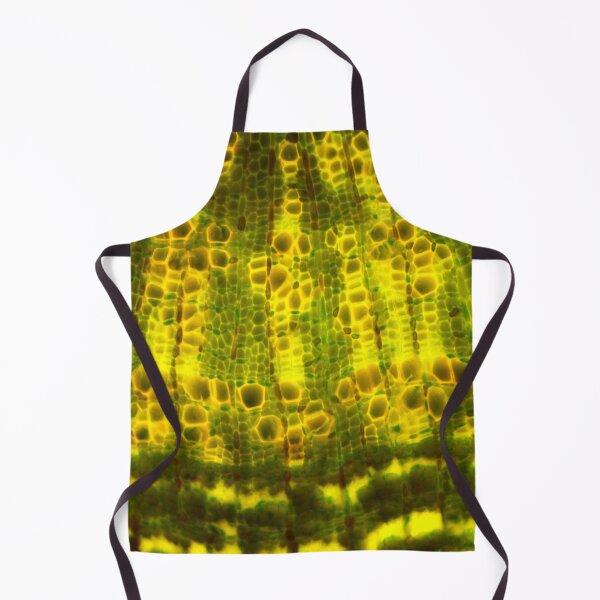 Item preview, Lime tree stem under a microscope.  Micro Photography. designed and sold by Maddie4Real.