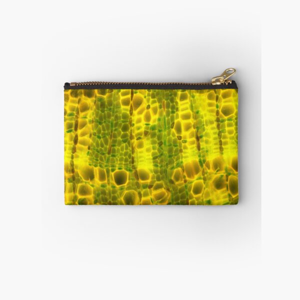 Item preview, Lime tree stem under a microscope.  Micro Photography. designed and sold by Maddie4Real.