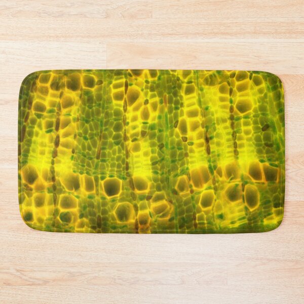 Item preview, Lime tree stem under a microscope.  Micro Photography. designed and sold by Maddie4Real.