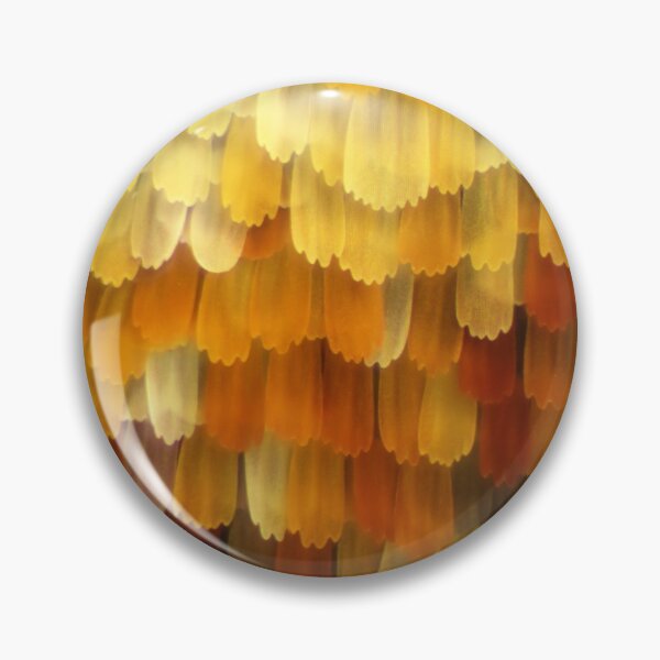 Item preview, Inachis butterfly wing under a microscope.  Micro Photography. designed and sold by Maddie4Real.