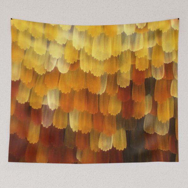 Item preview, Inachis butterfly wing under a microscope.  Micro Photography. designed and sold by Maddie4Real.