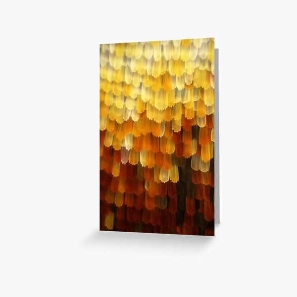 Item preview, Inachis butterfly wing under a microscope.  Micro Photography. designed and sold by Maddie4Real.