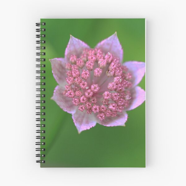 Item preview, In the pink designed and sold by CallyM.