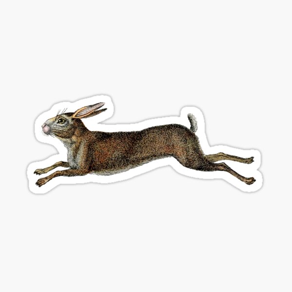 Item preview, Leaping Hare designed and sold by InterestingImag.