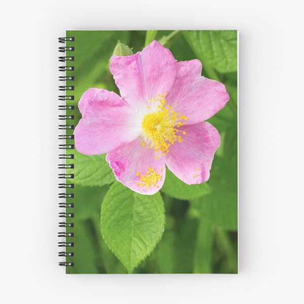 Item preview, Wild Rose designed and sold by Kenneth Keifer.