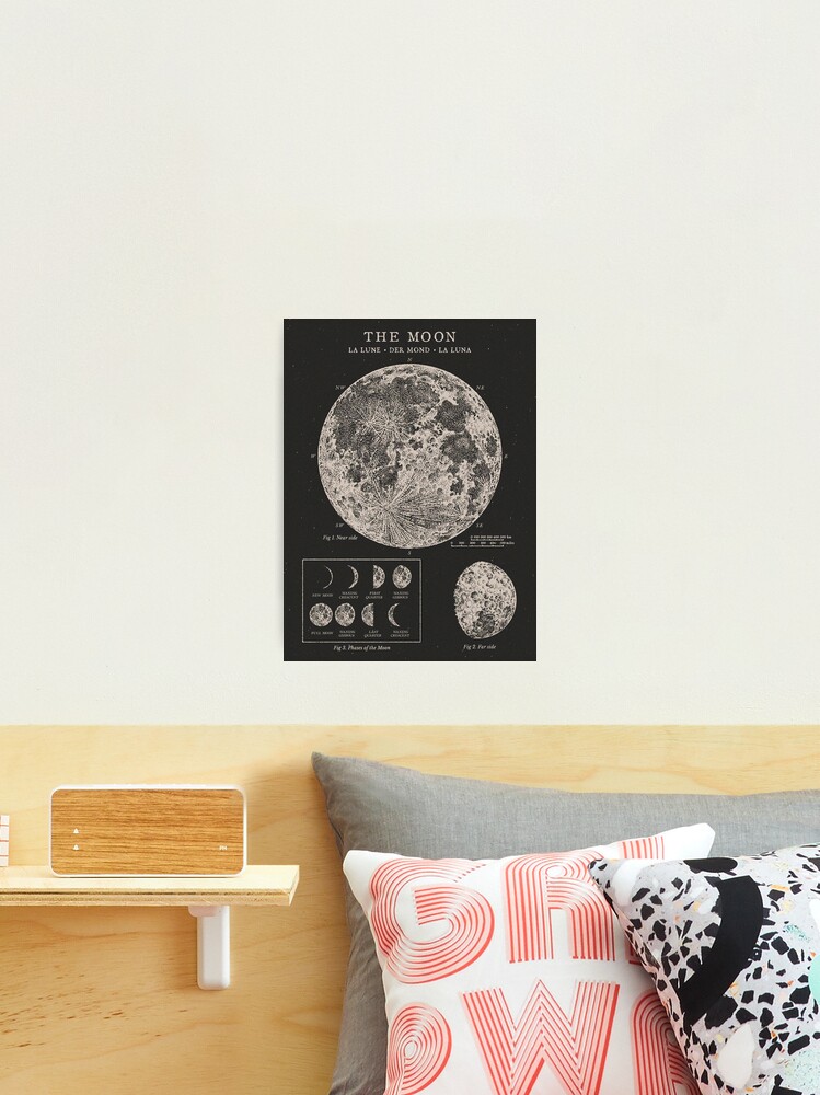 Thumbnail 1 of 3, Photographic Print, Moon Phases Vintage Poster designed and sold by backtoblackttt.