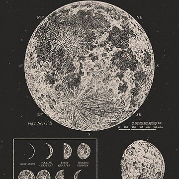 Artwork thumbnail, Moon Phases Vintage Poster by backtoblackttt