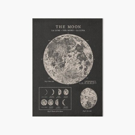 Affiche vintage des phases de la lune Impression rigide