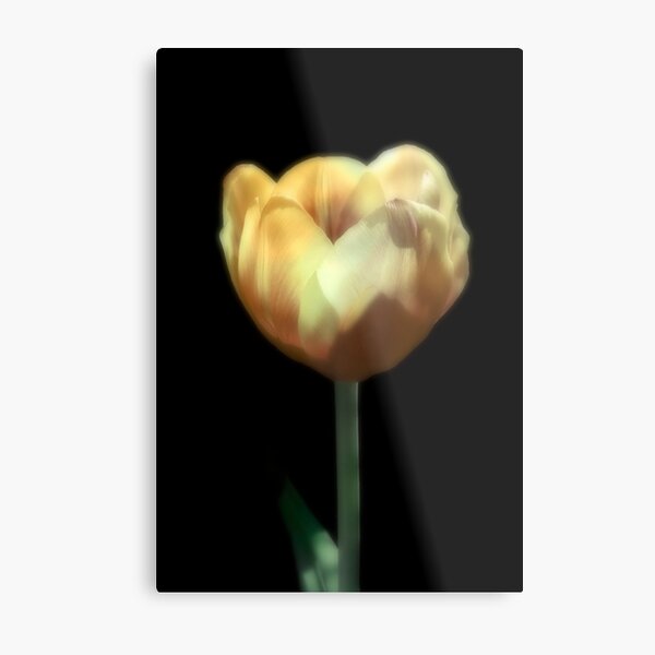 One Yellow Beauty Metal Print
