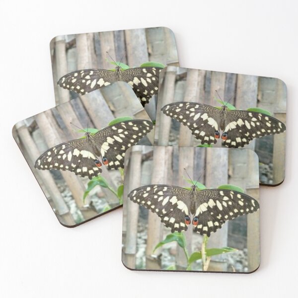 Item preview, The Shy Butterfly designed and sold by Luxxe87.