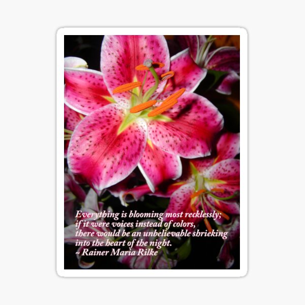 Stargazers And Rilke Quote Sticker