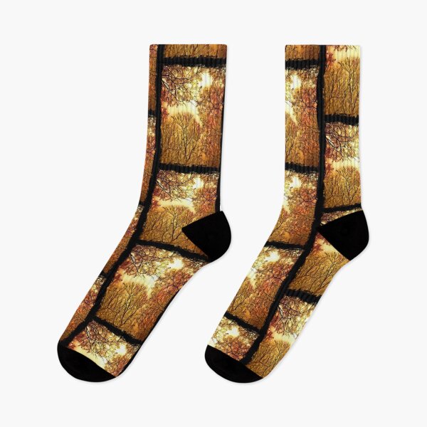 Item preview, Tree Canopy Autumn Glow designed and sold by Capuletdesigns.