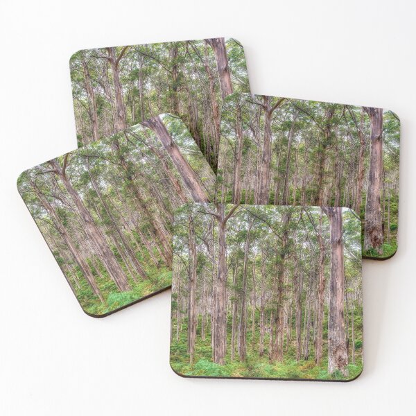 Item preview, Boronup Forrest designed and sold by DebbieEPhotos.