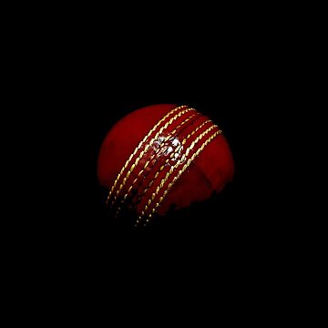 Imagen de la obra Aficionado al cricket de adifreelancing