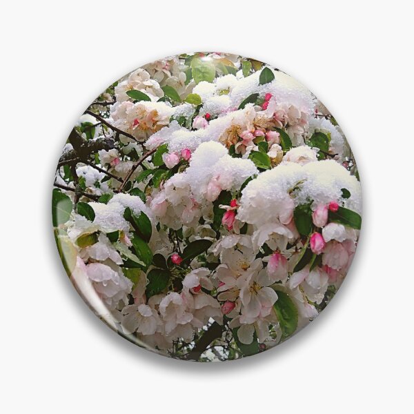 Item preview, Cherry Tree Blossoms Covered in Snow Overcast Sky designed and sold by Mothe3rd.