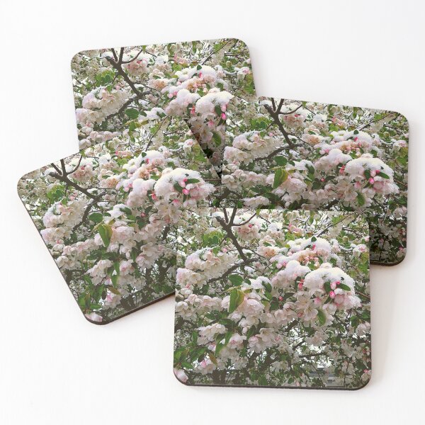 Item preview, Cherry Tree Blossoms Covered in Snow Overcast Sky designed and sold by Mothe3rd.
