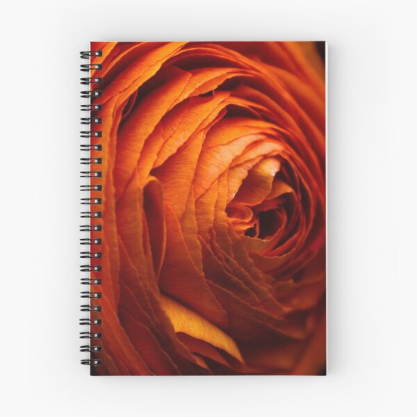 Item preview, Vibrant orange - ranunculus designed and sold by frommyhorizon.
