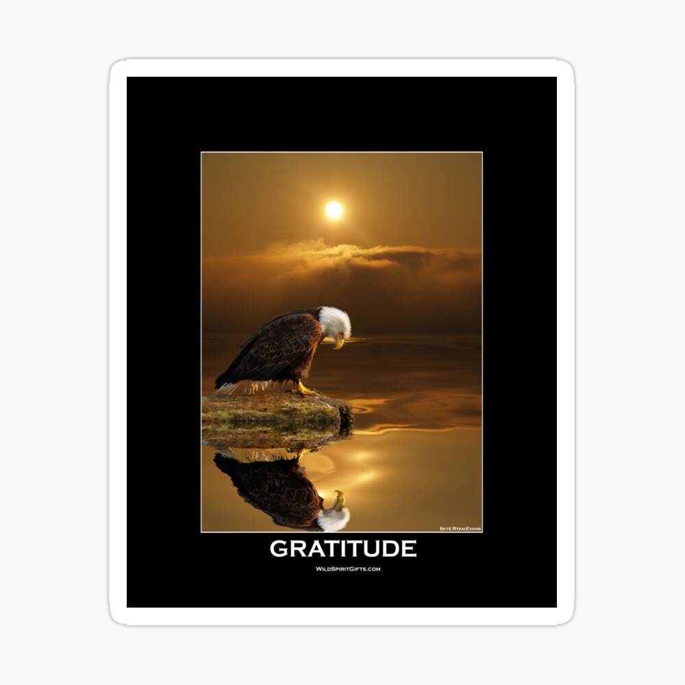 Giving Thanks Eagle Images