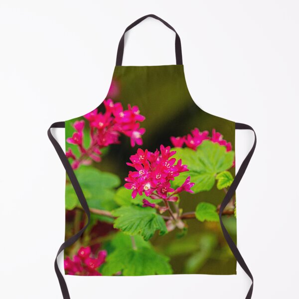 Item preview, The beautiful colours of a flowering Redcurrant designed and sold by Dalyndigital Photography.