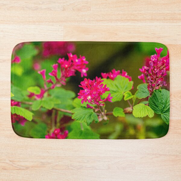 Item preview, The beautiful colours of a flowering Redcurrant designed and sold by Dalyndigital Photography.