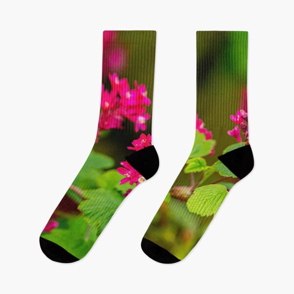 Item preview, The beautiful colours of a flowering Redcurrant designed and sold by Dalyndigital Photography.