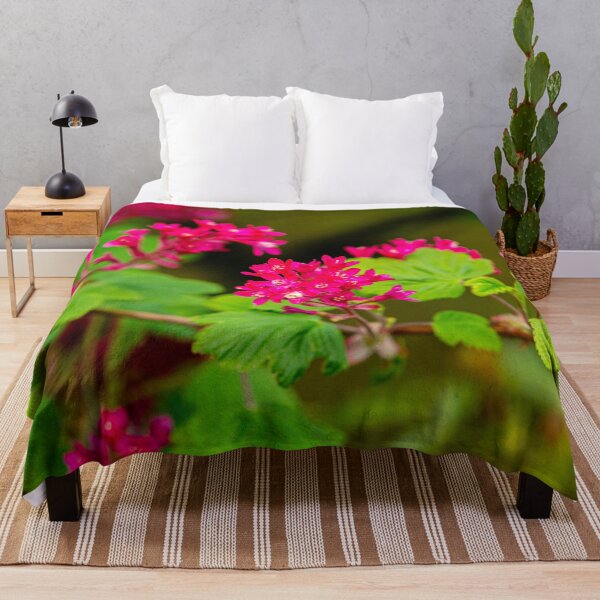 Item preview, The beautiful colours of a flowering Redcurrant designed and sold by Dalyndigital Photography.