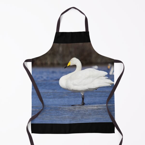 Item preview, Sleeping beauty. Whooper swan designed and sold by Jouko Lehto Photography.