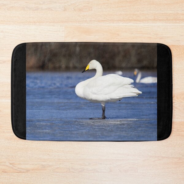 Item preview, Sleeping beauty. Whooper swan designed and sold by Jouko Lehto Photography.