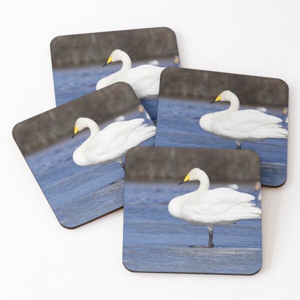 Item preview, Sleeping beauty. Whooper swan designed and sold by Jouko Lehto Photography.