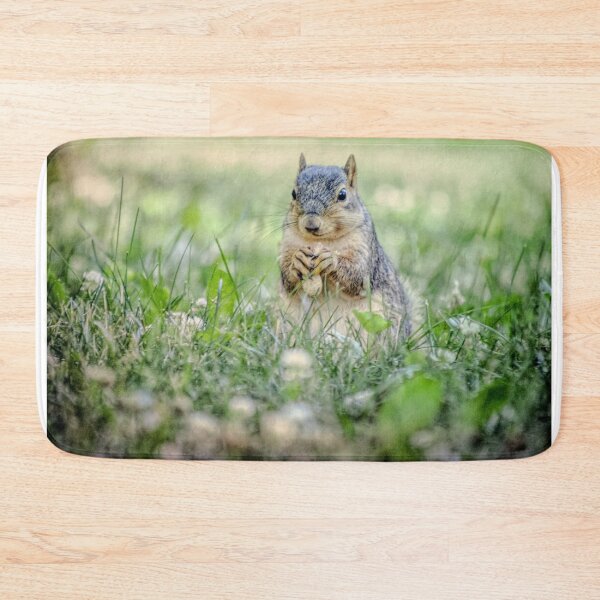 Item preview, Little squirrel designed and sold by Gaby Swanson.