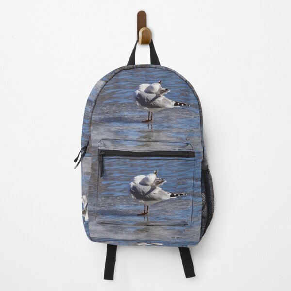 Item preview, The sun just feel so goooood. Mew gull designed and sold by Jouko Lehto Photography.