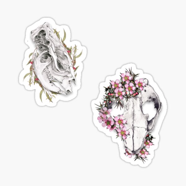 Floral Wombat Sticker