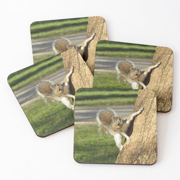 Item preview, Grey squirrel. designed and sold by joshuarainbird.