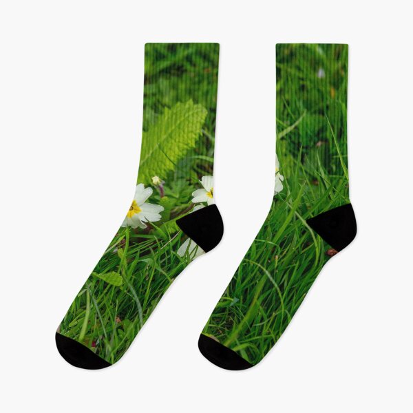 Item preview, Primroses the quintessential spring flower designed and sold by Dalyndigital Photography.