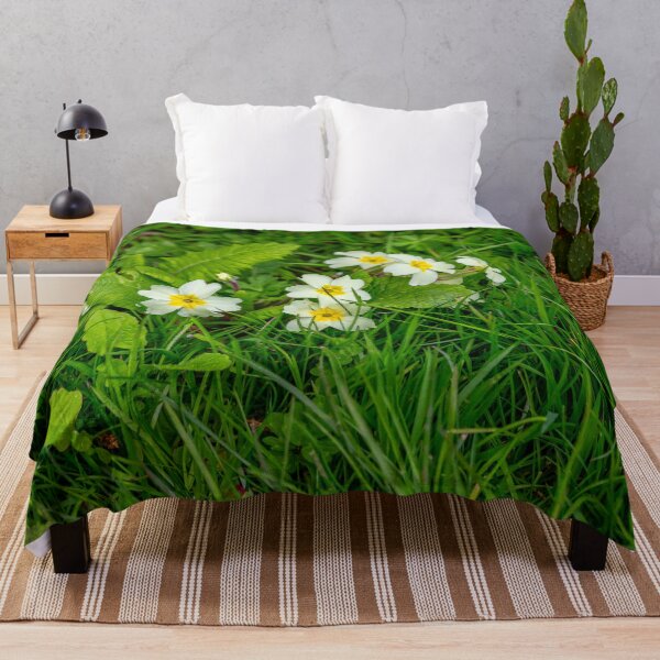 Item preview, Primroses the quintessential spring flower designed and sold by Dalyndigital Photography.