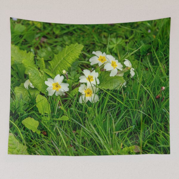Item preview, Primroses the quintessential spring flower designed and sold by Dalyndigital Photography.
